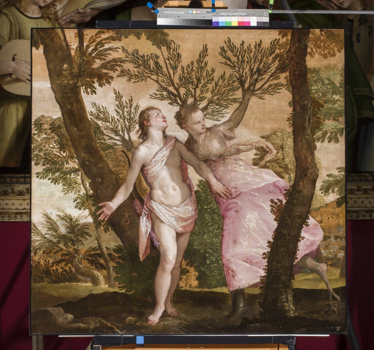 Apolo e Daphne, c.1560-65 de Paolo Veronese
