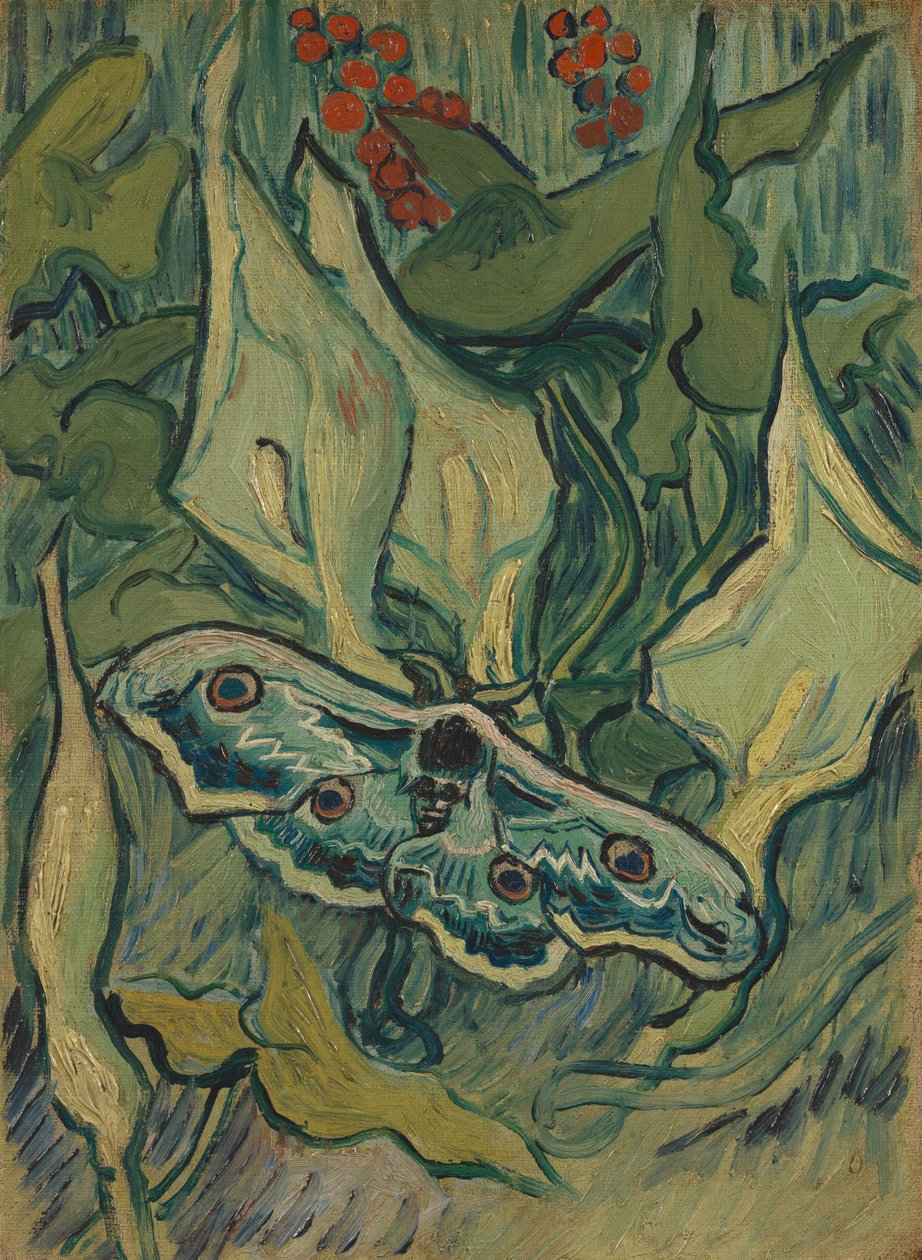 Traça gigante do pavão de Vincent van Gogh