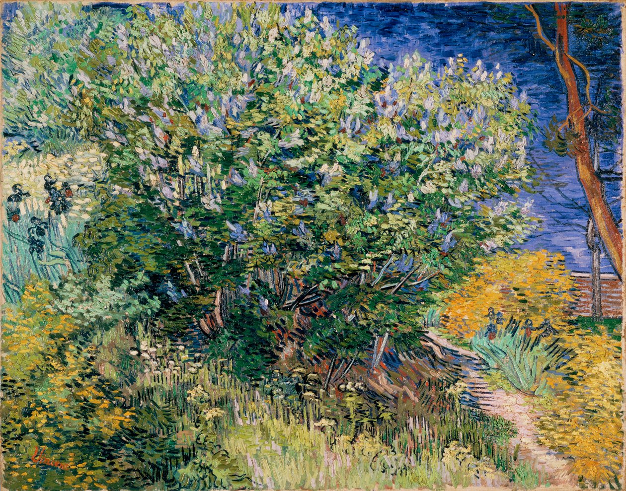 Lilac Bush (Lilacs) de Vincent van Gogh