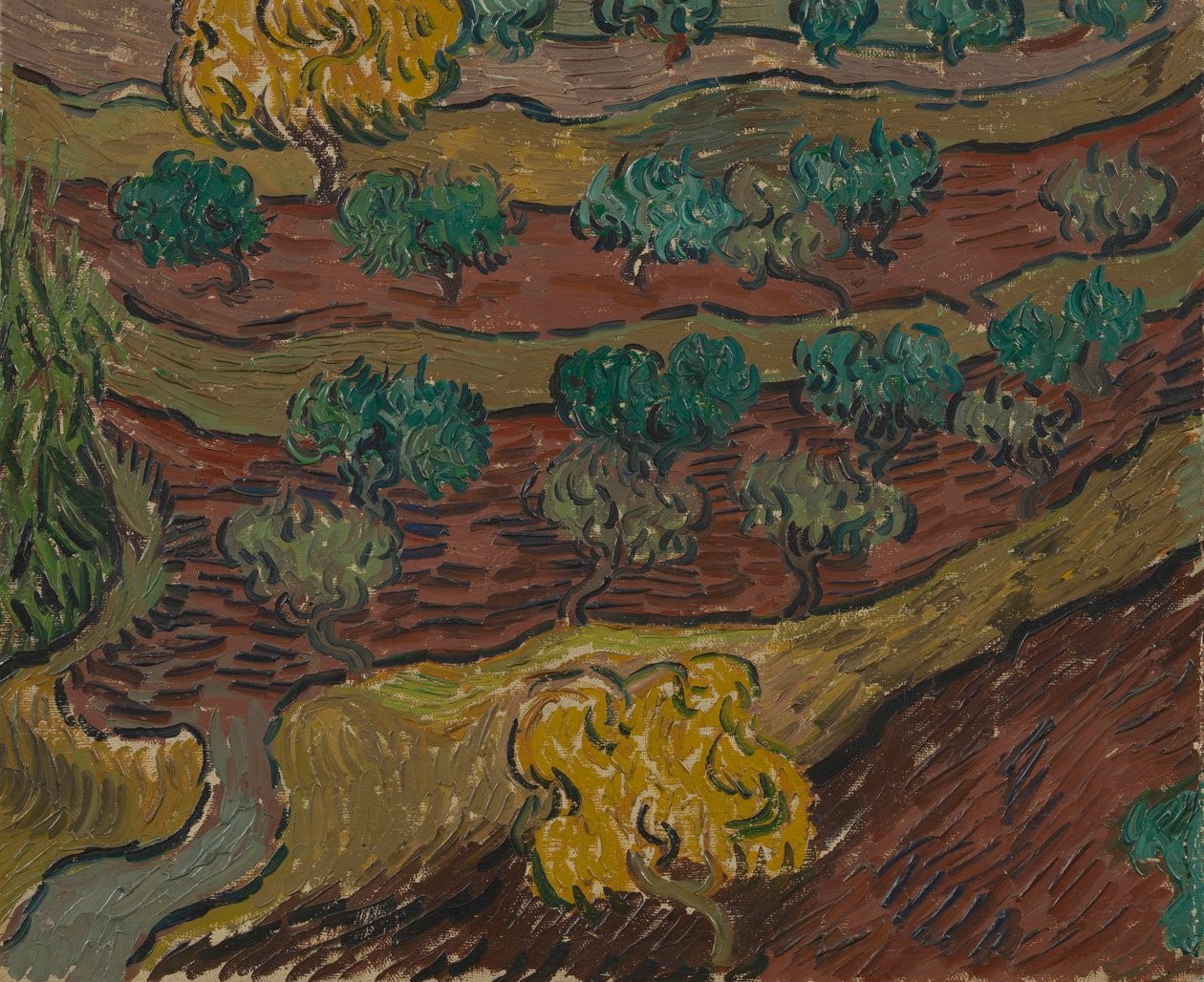 Oliveiras em uma encosta de Vincent van Gogh