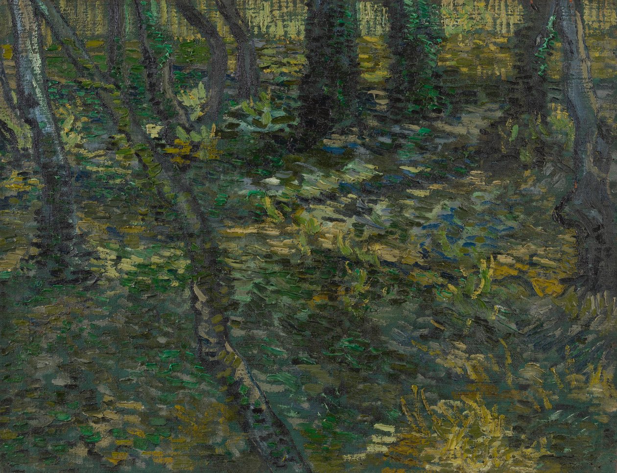 Undergrowth de Vincent van Gogh