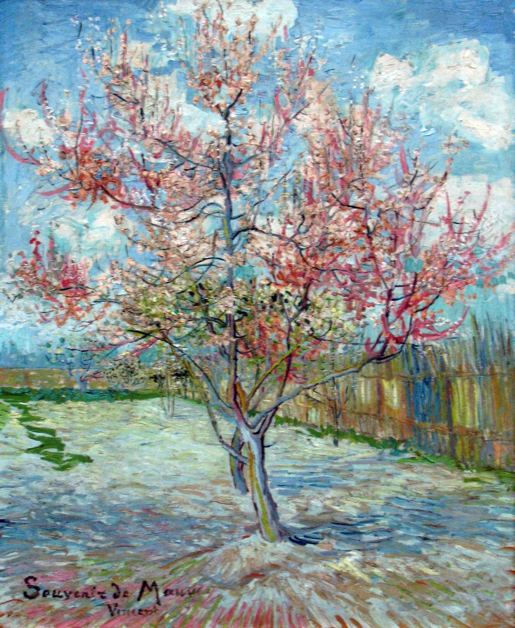 Rosa Pfirsichbäume (Souvenir de Mauve) de Vincent van Gogh