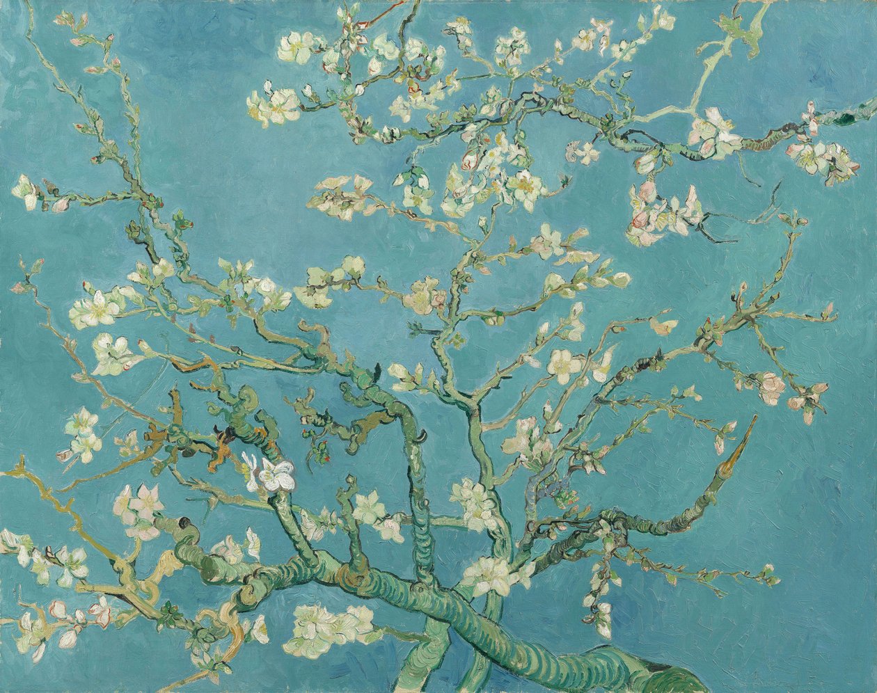 Flor de amendoeira de Vincent van Gogh