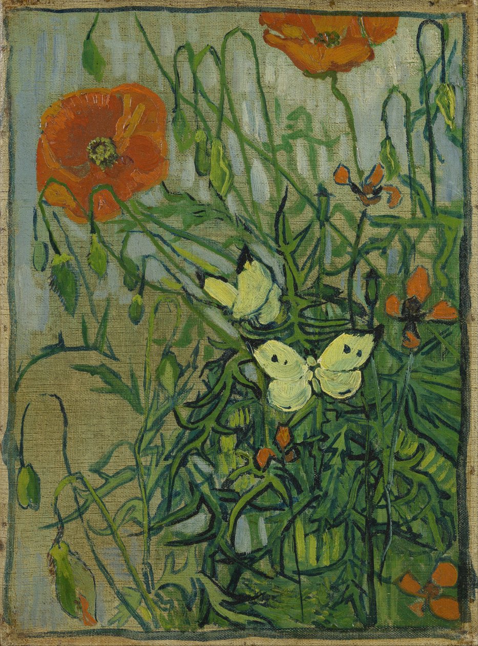 Borboletas e papoulas de Vincent van Gogh