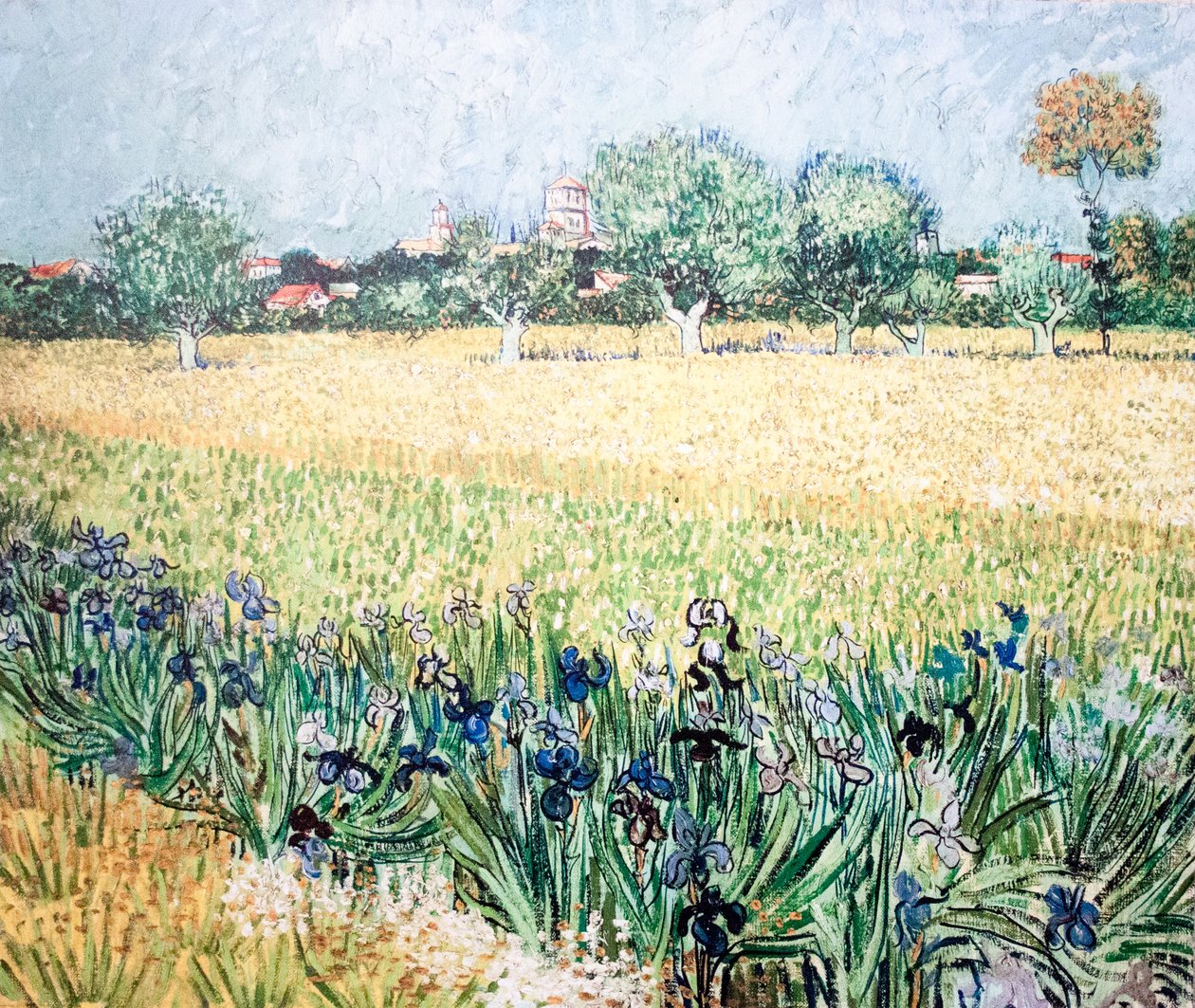 O pessegueiro rosa de Vincent van Gogh