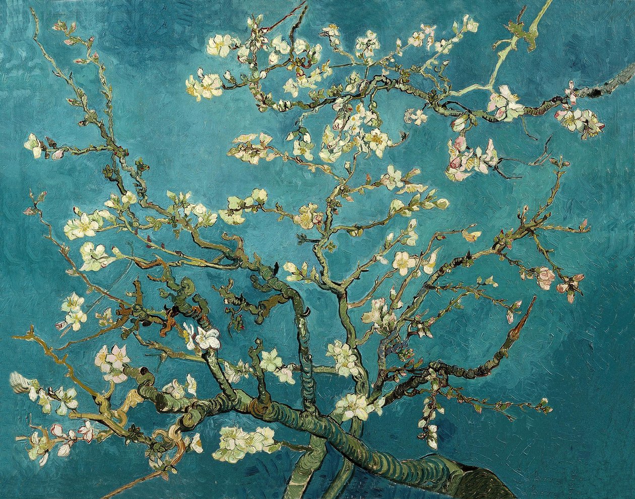 Amêndoa em flor de Vincent van Gogh