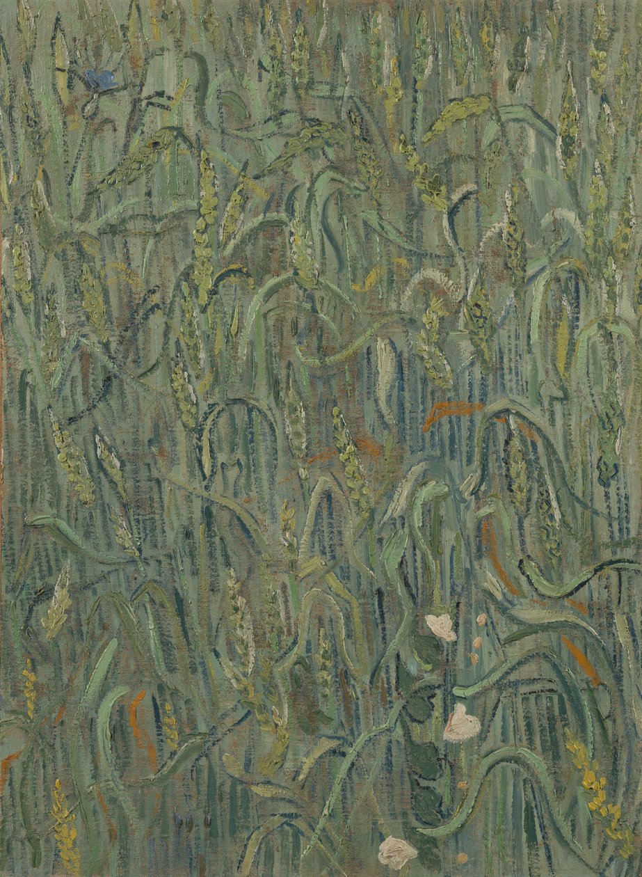 Espigas de trigo de Vincent van Gogh