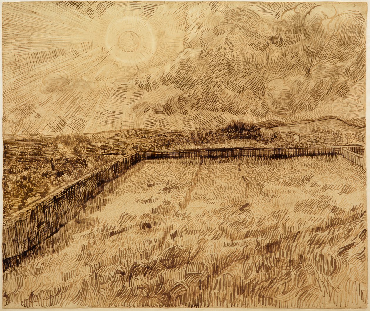 Campos e oliveiras de Vincent van Gogh