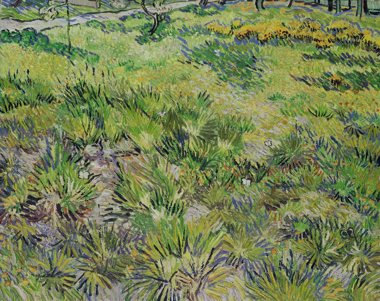 Prado com borboletas, 1890 de Vincent van Gogh