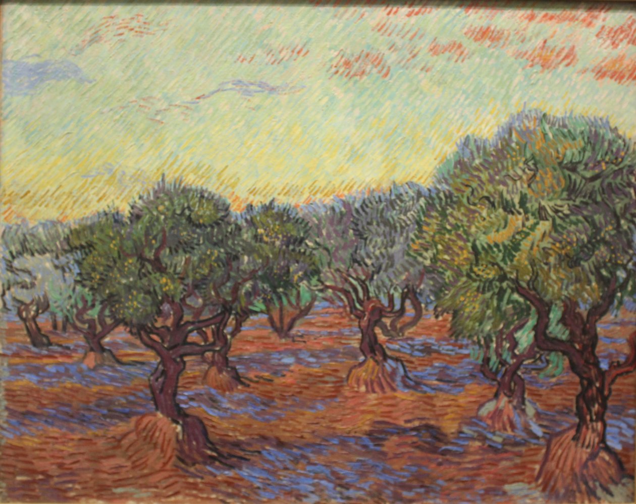 Olival de Vincent van Gogh