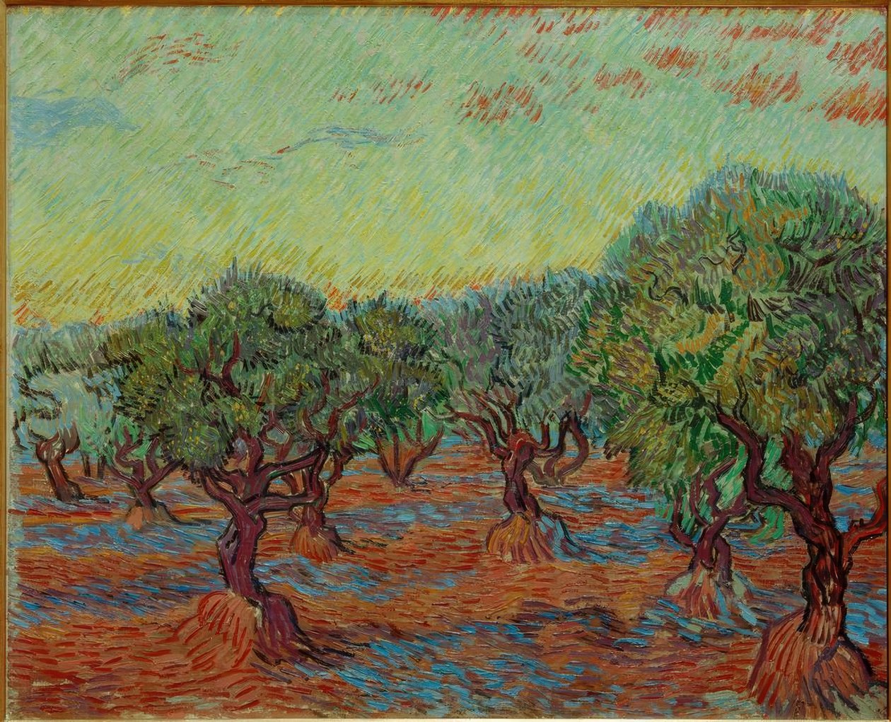 olival de Vincent van Gogh