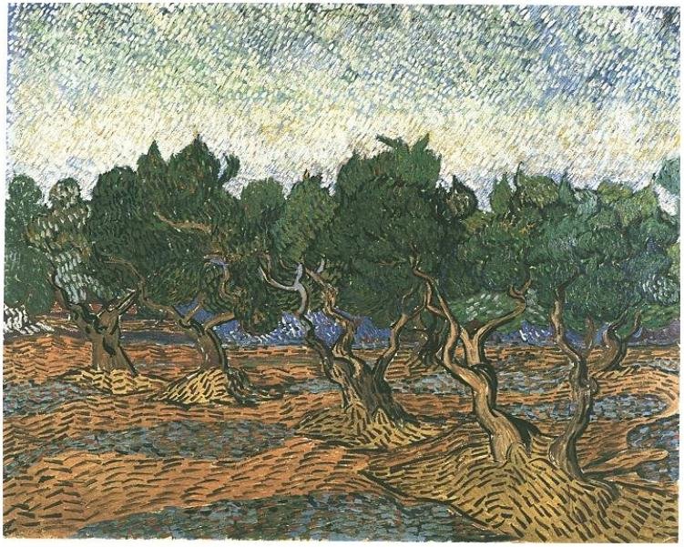 Olivenhain3 de Vincent van Gogh