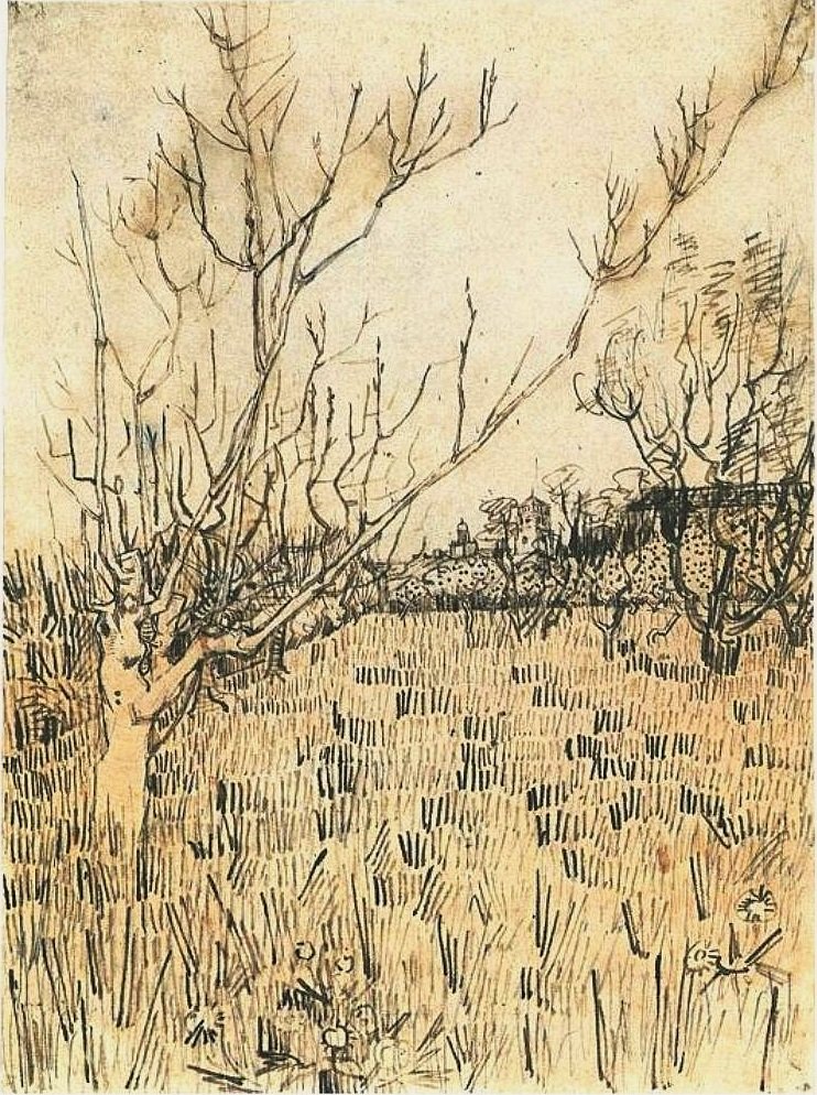Pomar com Arles ao fundo de Vincent van Gogh