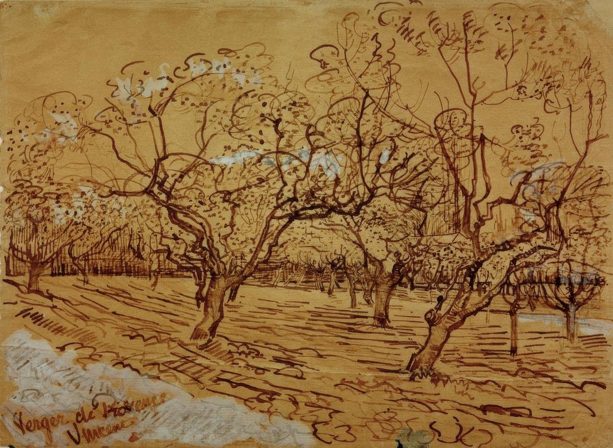 Pomar provençal de Vincent van Gogh