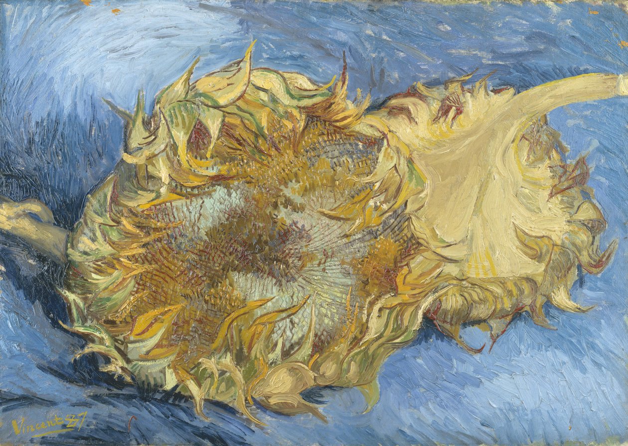 Girassóis de Vincent van Gogh