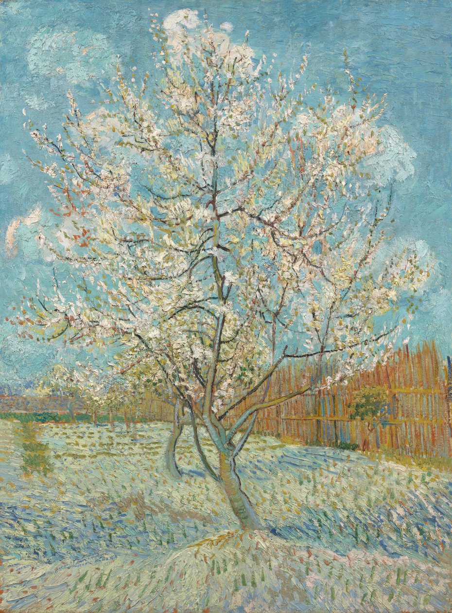 A árvore de pêssego rosa, 1888 de Vincent van Gogh