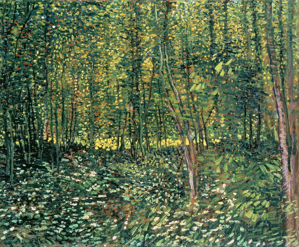 Árvores e vegetação rasteira, 1887 de Vincent van Gogh