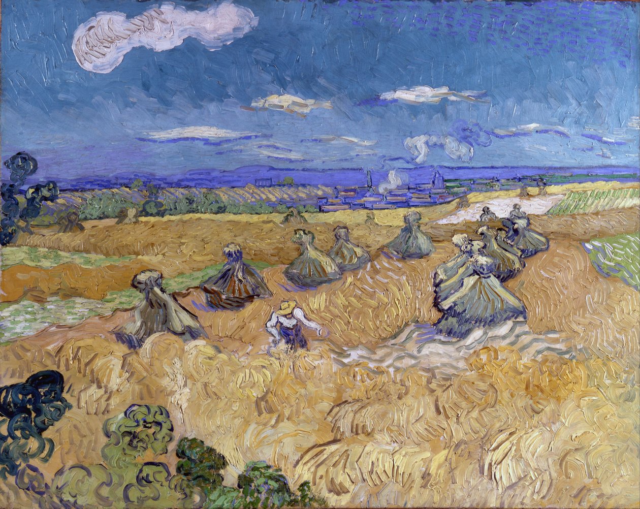 Campos de trigo com ceifeira, Auvers de Vincent van Gogh