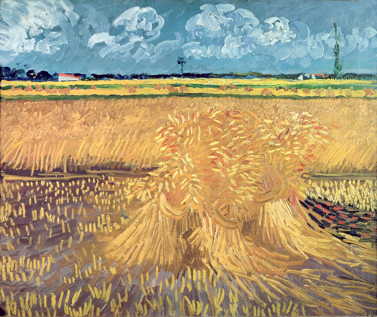 Campo de trigo com polias, 1888 de Vincent van Gogh