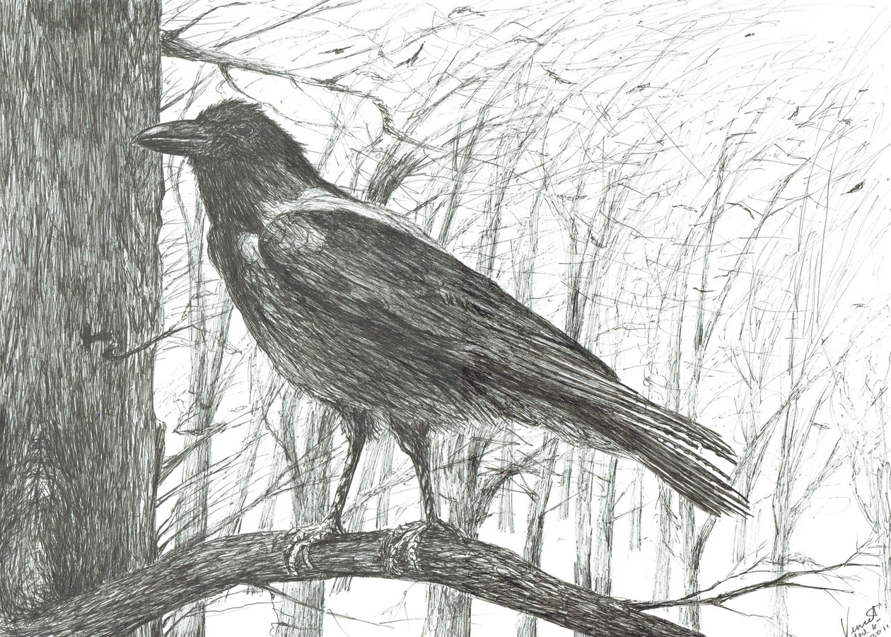 Bird, 2011 de Vincent Alexander Booth