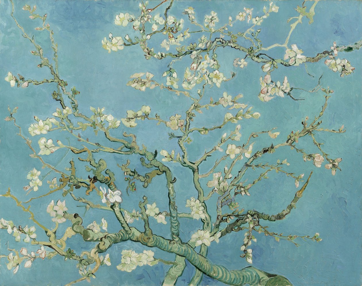 Flor de amendoeira de Vincent van Gogh