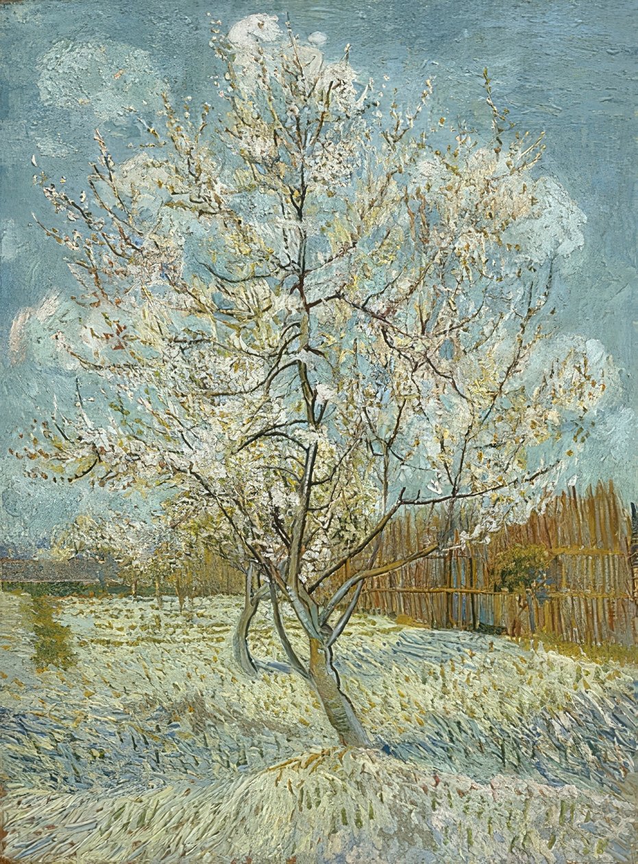 Pessegueiro em flor (rosa). Arles, abril-maio de 1888 de Vincent van Gogh