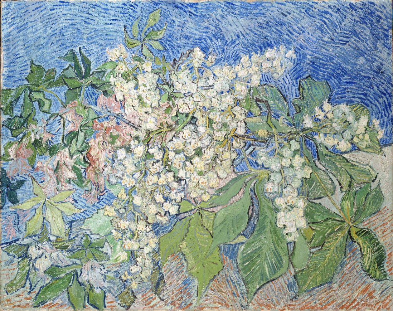 Ramos de castanhas em flor, 1890. de Vincent van Gogh