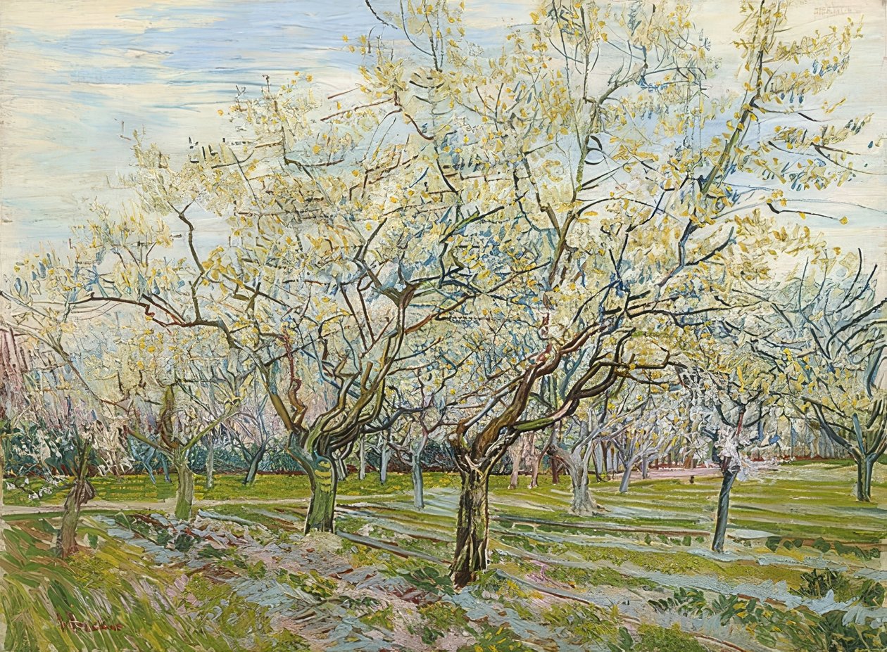 O pomar branco. 1888 de Vincent van Gogh