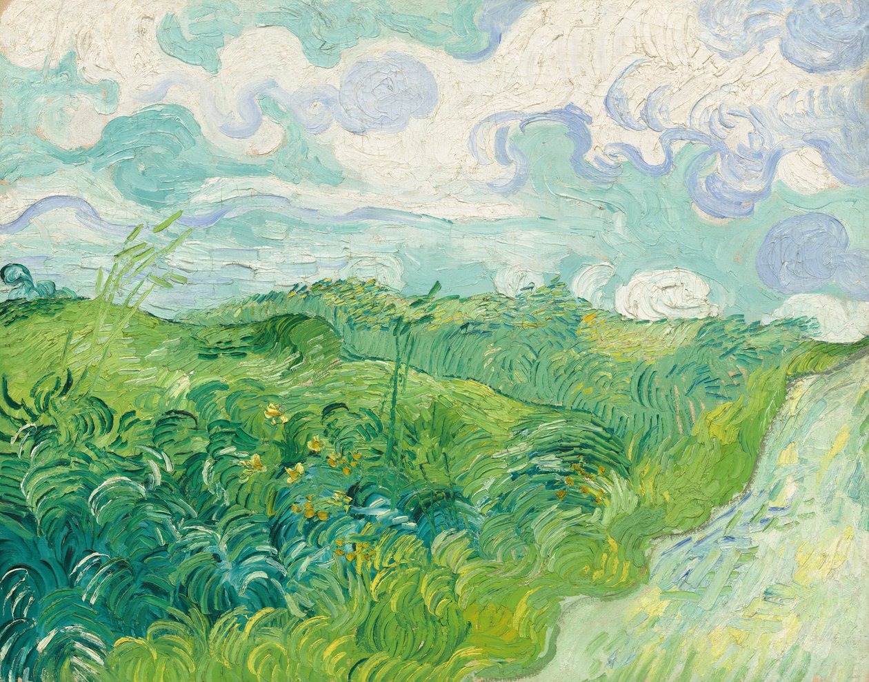 Campos de trigo verde, Auvers de Vincent van Gogh