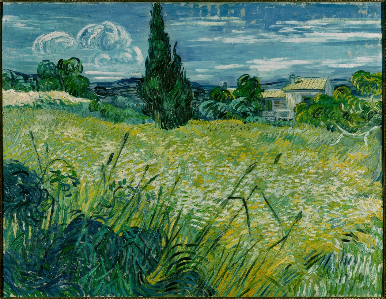 Campo de trigo verde com cipreste de Vincent van Gogh
