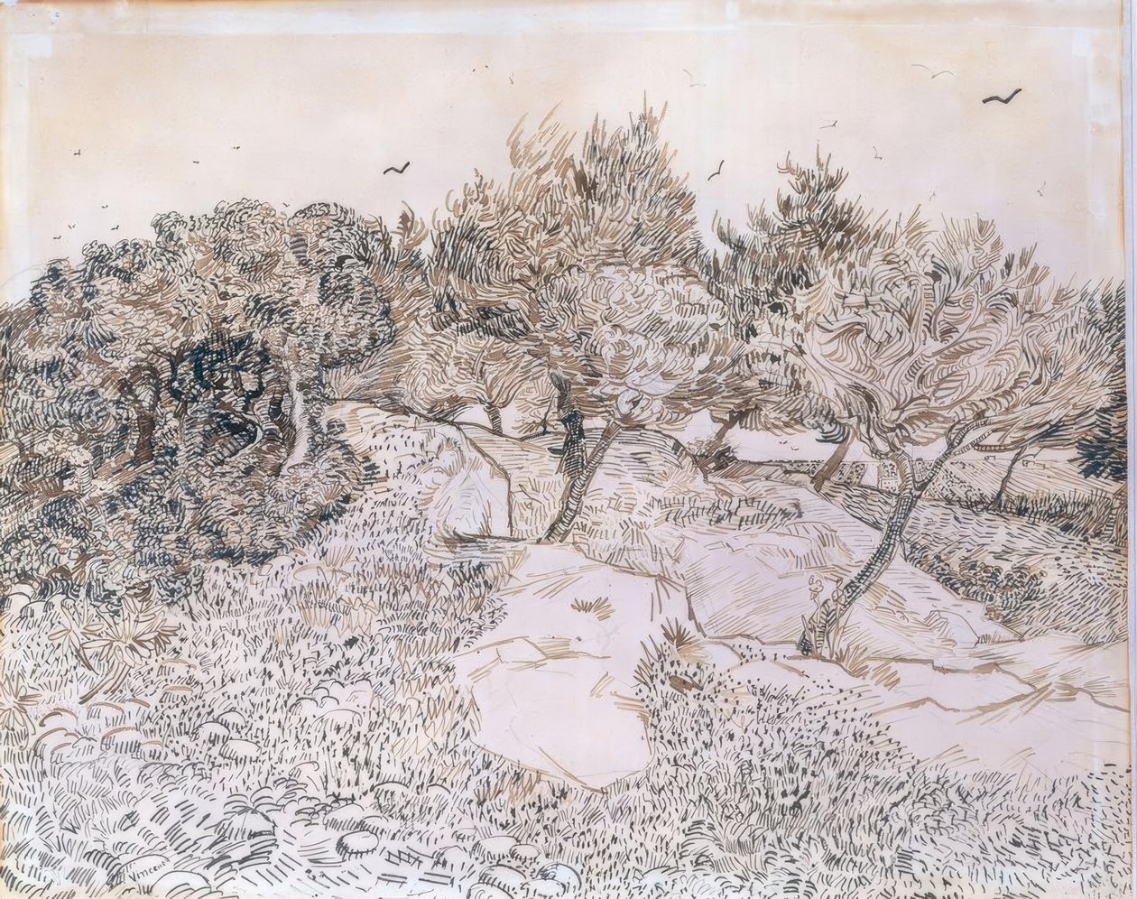 Oliveiras em Montmajour de Vincent van Gogh