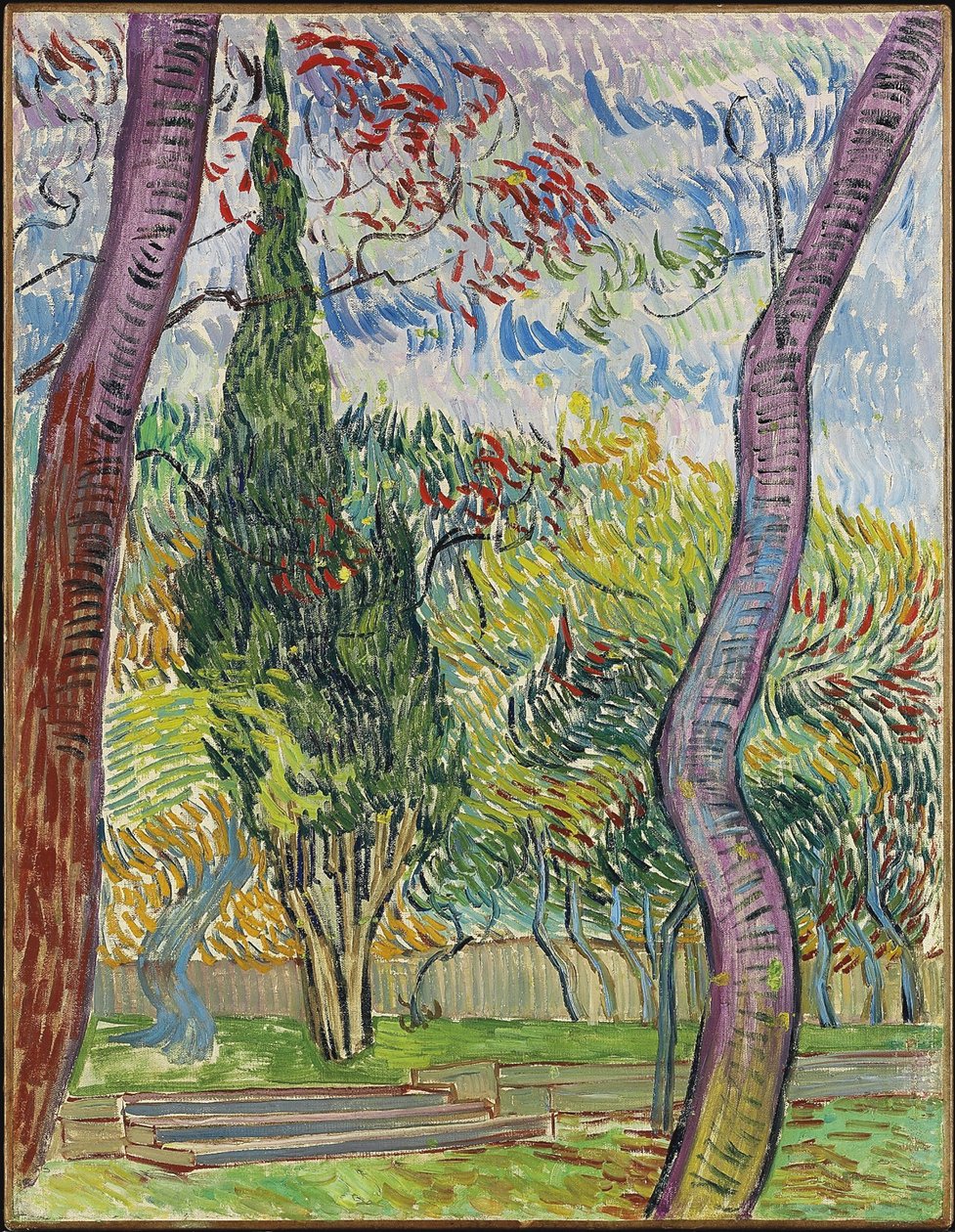Saint-Paul Hospital Park, 1889 de Vincent van Gogh