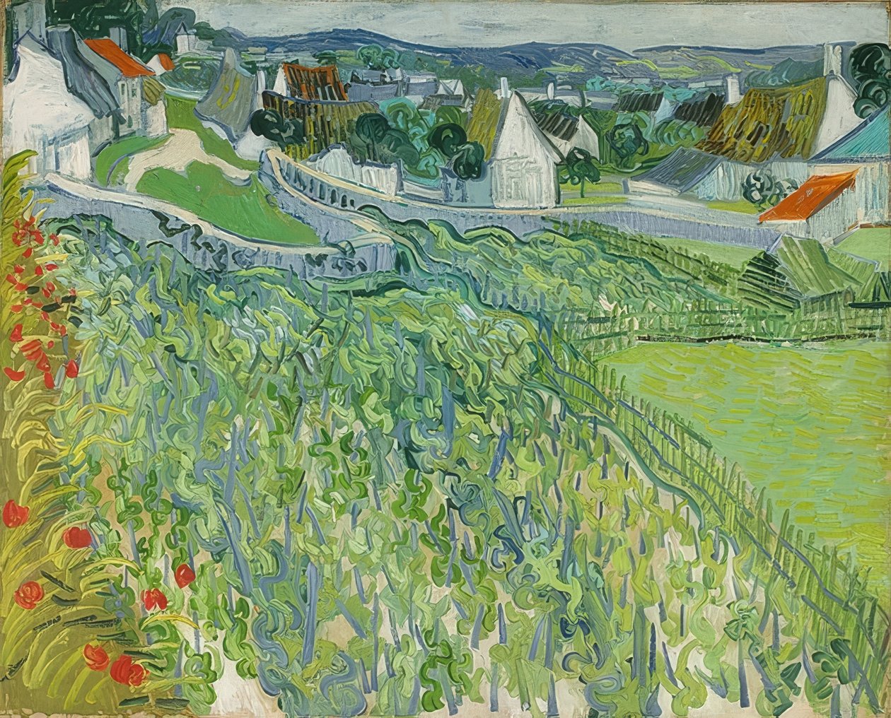 Vinhedos em Auvers. 1890 de Vincent van Gogh