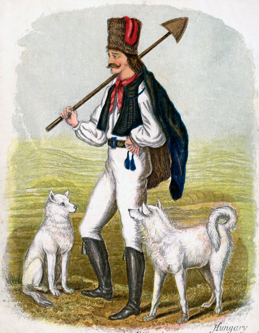Homem húngaro com cães, 1809. de W. Dickes