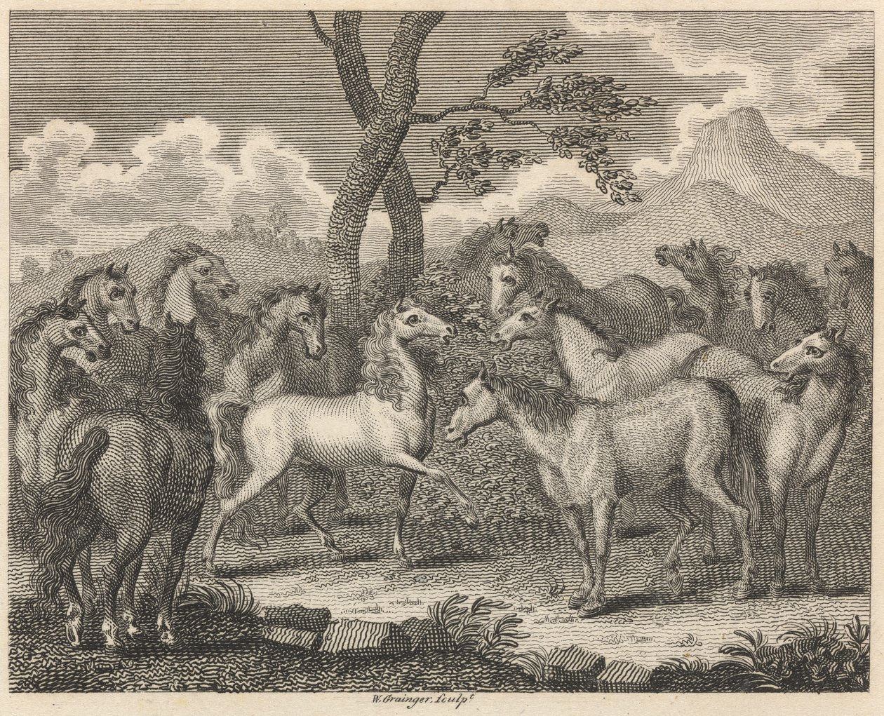 O Conselho de Cavalos de W. Grainger