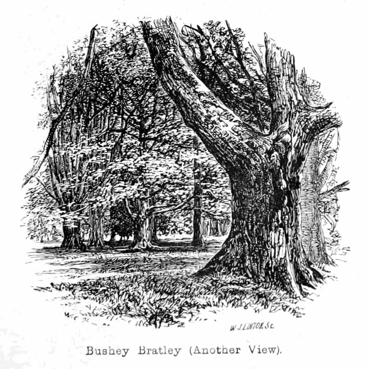 Bratley de Bushey de Walter Crane
