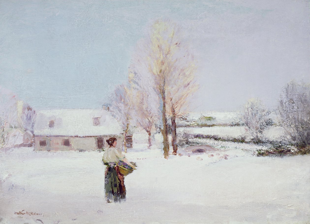 Caminhe pela neve de Walter McAdam
