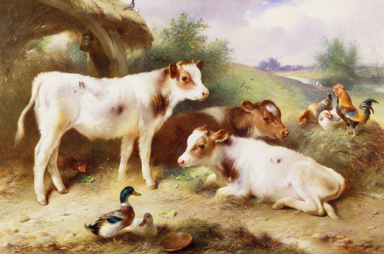 Bezerros e aves por um Byre de Walter Hunt