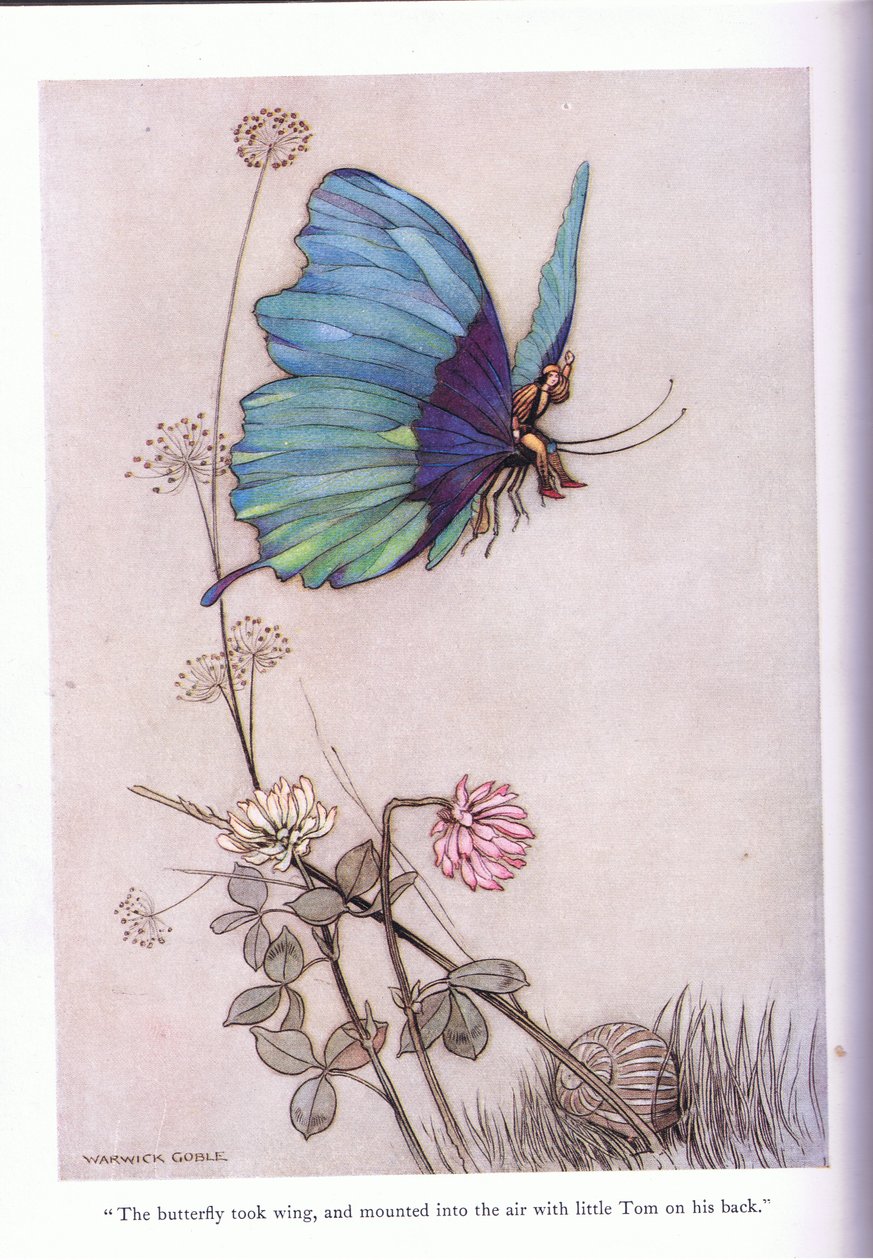 A borboleta pegou asas de Warwick Goble