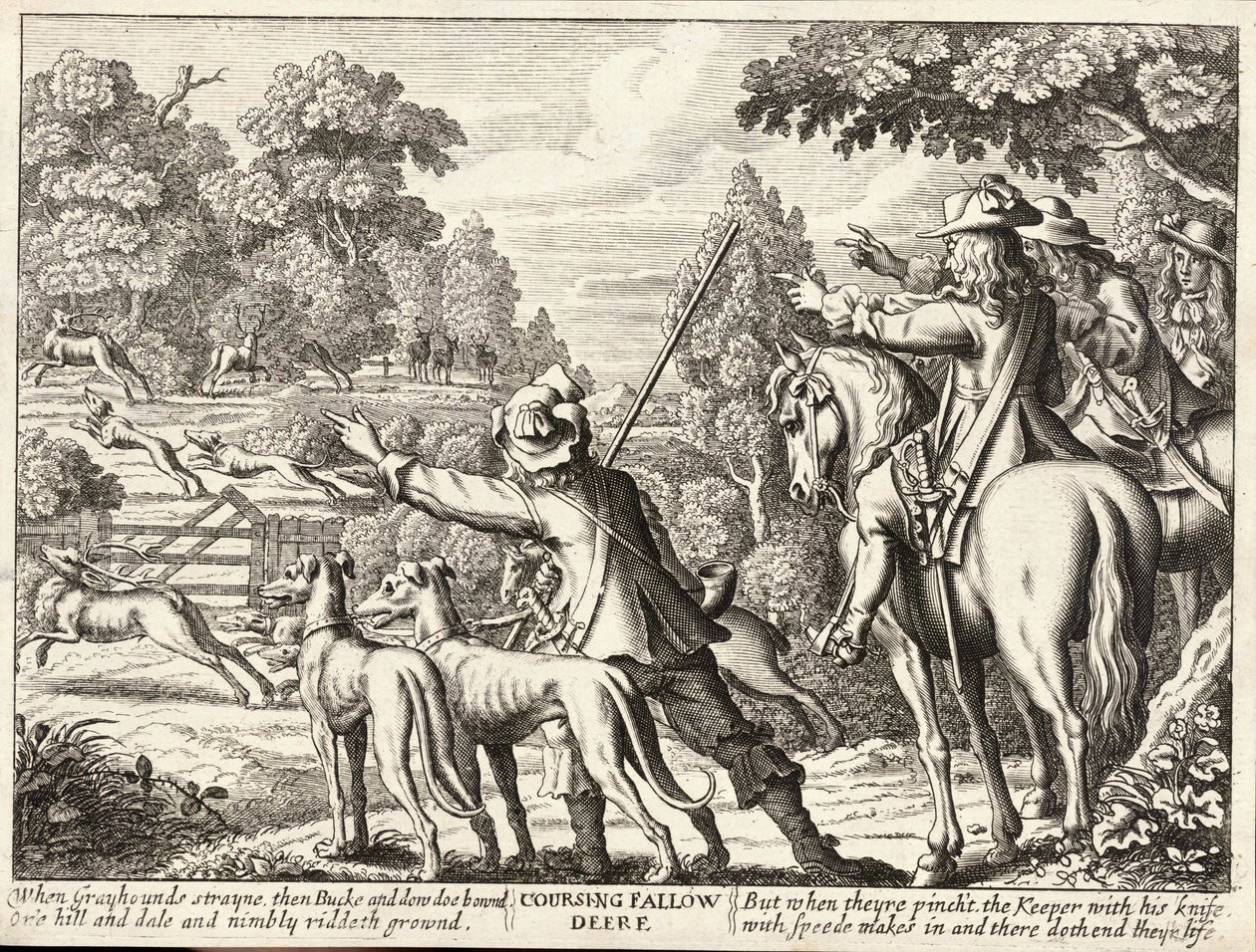 Vindo gamo de Wenceslaus Hollar