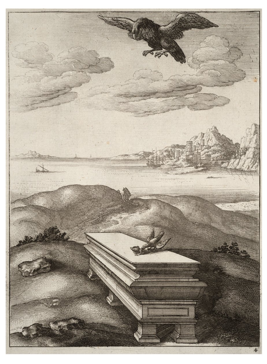 A águia e o daw de Wenceslaus Hollar