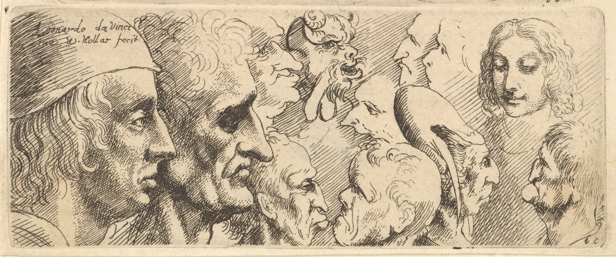 Uma variedade de cabeças, 1625-77. de Wenceslaus Hollar