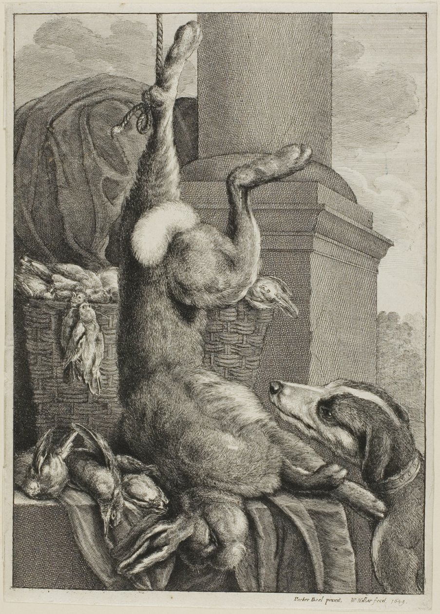 Lebre morta de Wenceslaus Hollar