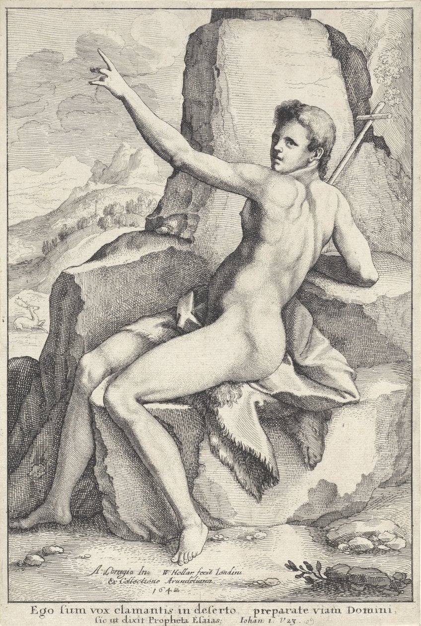 João Baptista no deserto de Wenceslaus Hollar