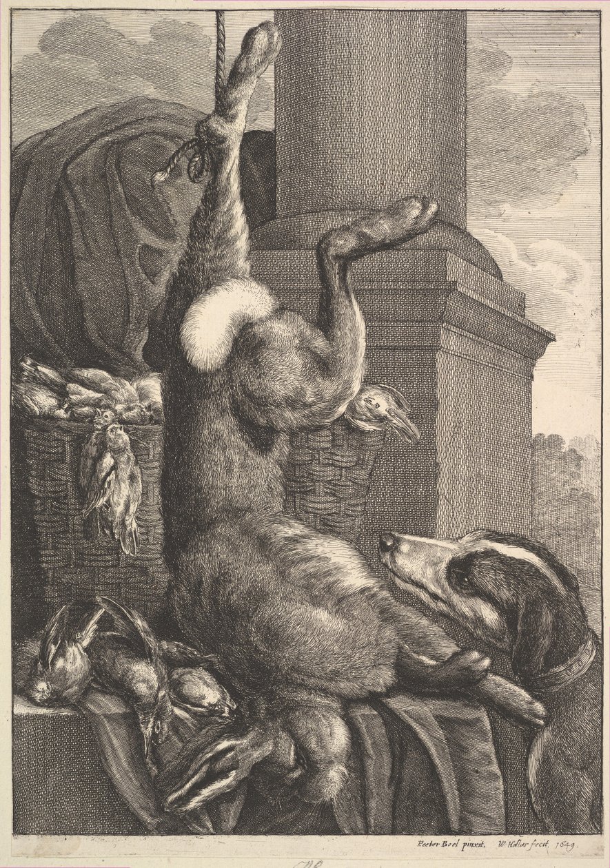 A lebre morta, 1649. de Wenceslaus Hollar