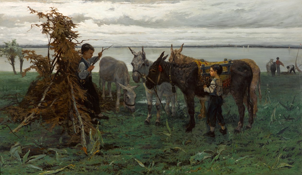 Meninos, agrupar, burros de Willem Maris