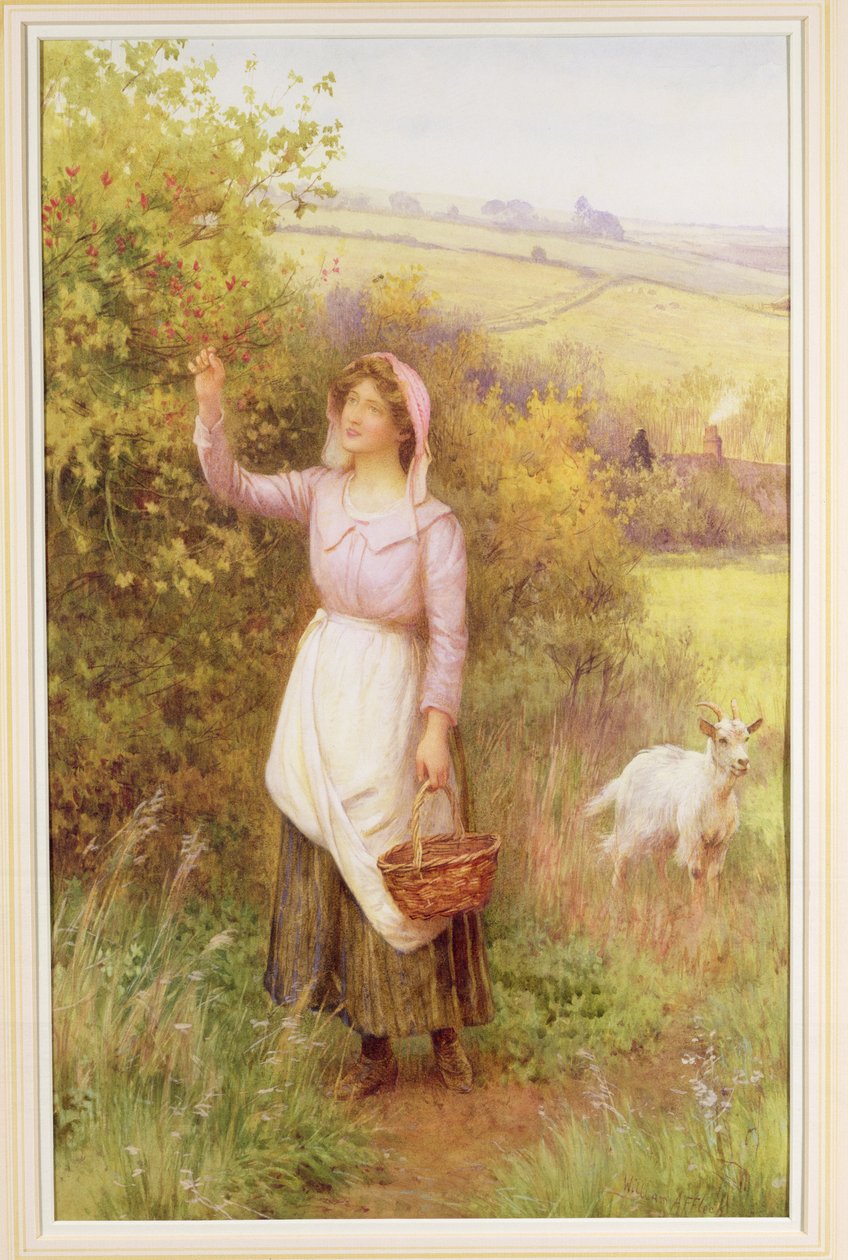 Flor de colheita, de William Affleck
