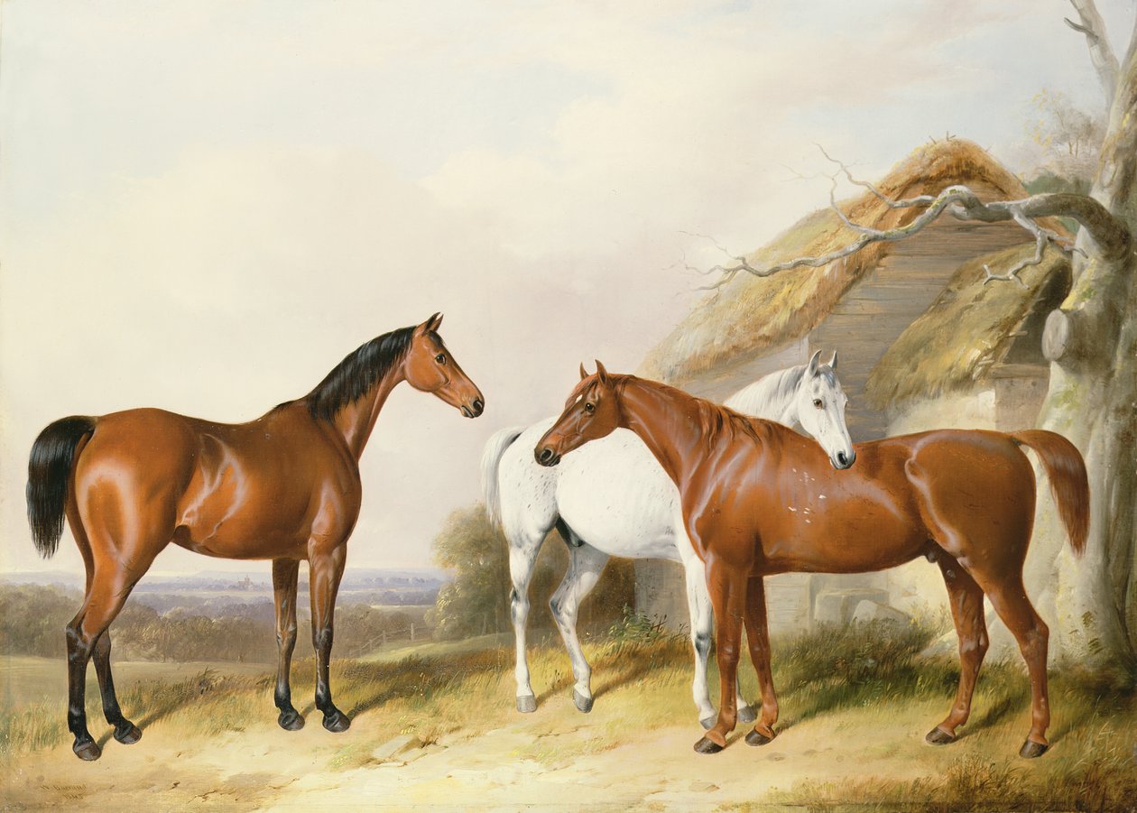 Fora do estábulo, 1845 de William Barraud