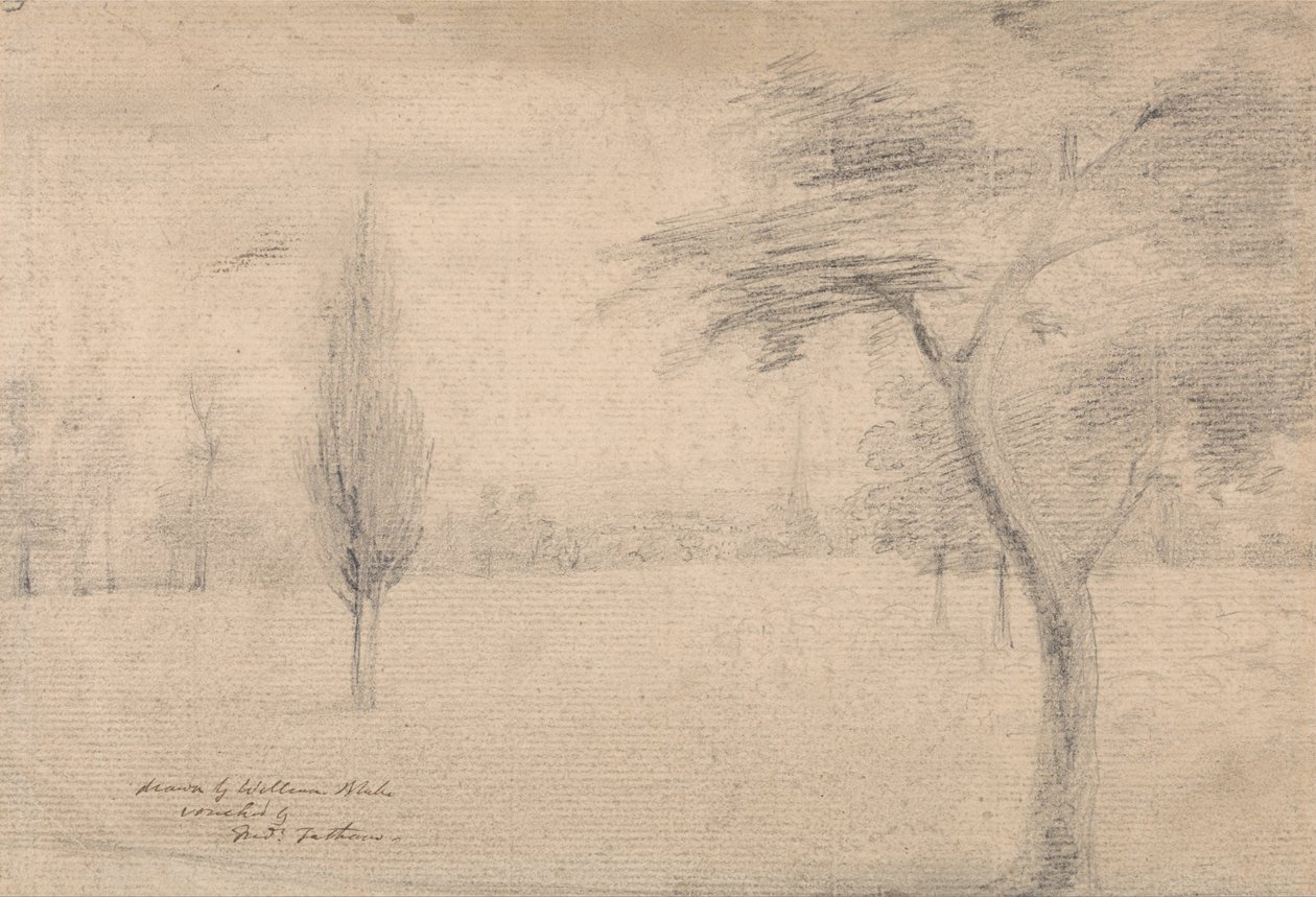 Paisagem com pináculo de William Blake