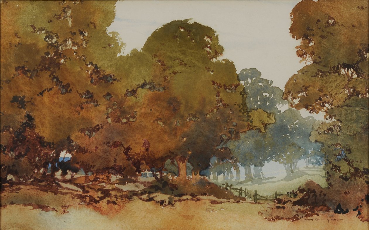 Árvores de goma de William Blamire Young